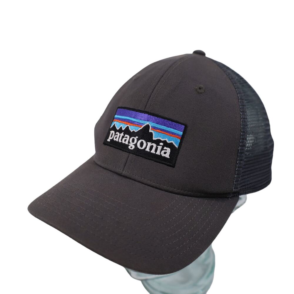 Patagonia Classic Logo Mesh Low Pro Trucker Hat